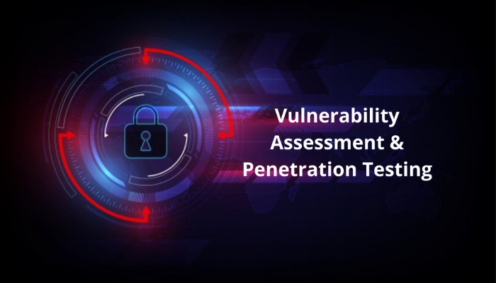 What Are Vulnerability Assessment and Penetration Testing (VAPT)