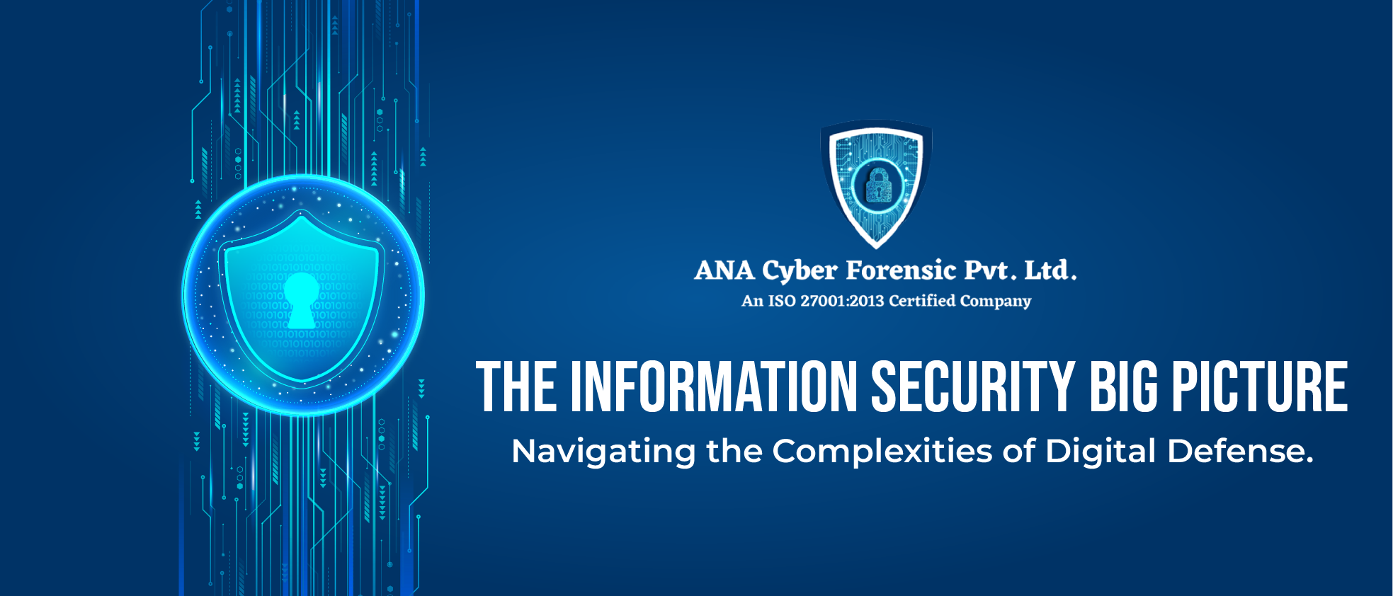 The Information Security Big Picture: ANA Cyber's Perspective